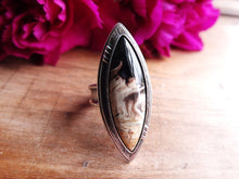 Load image into Gallery viewer, Indonesian Petrified Palm Root Ring or Pendant (Choose Your Size)